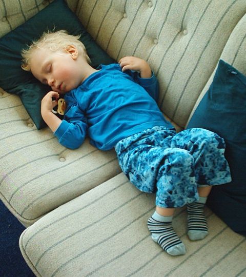 Justian schlafend auf dem Sofa